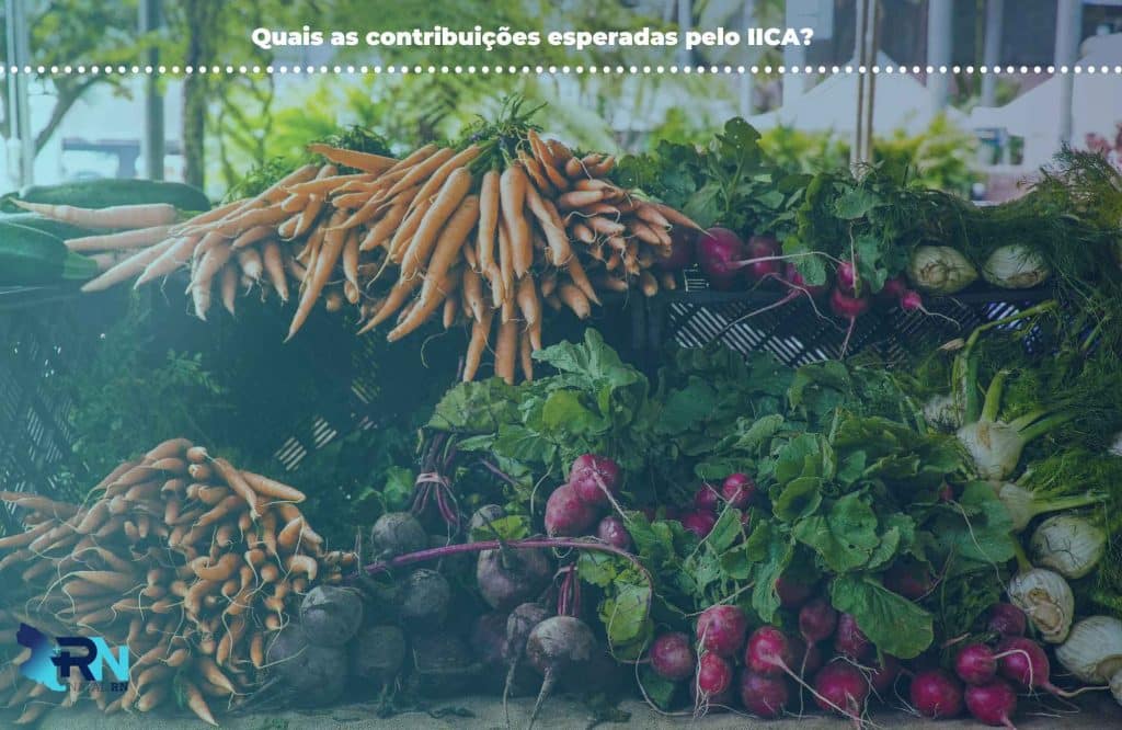 Governo Investe na Agricultura Em Parceria com o IICA 3 Quais as contribuições esperadas pelo IICA?