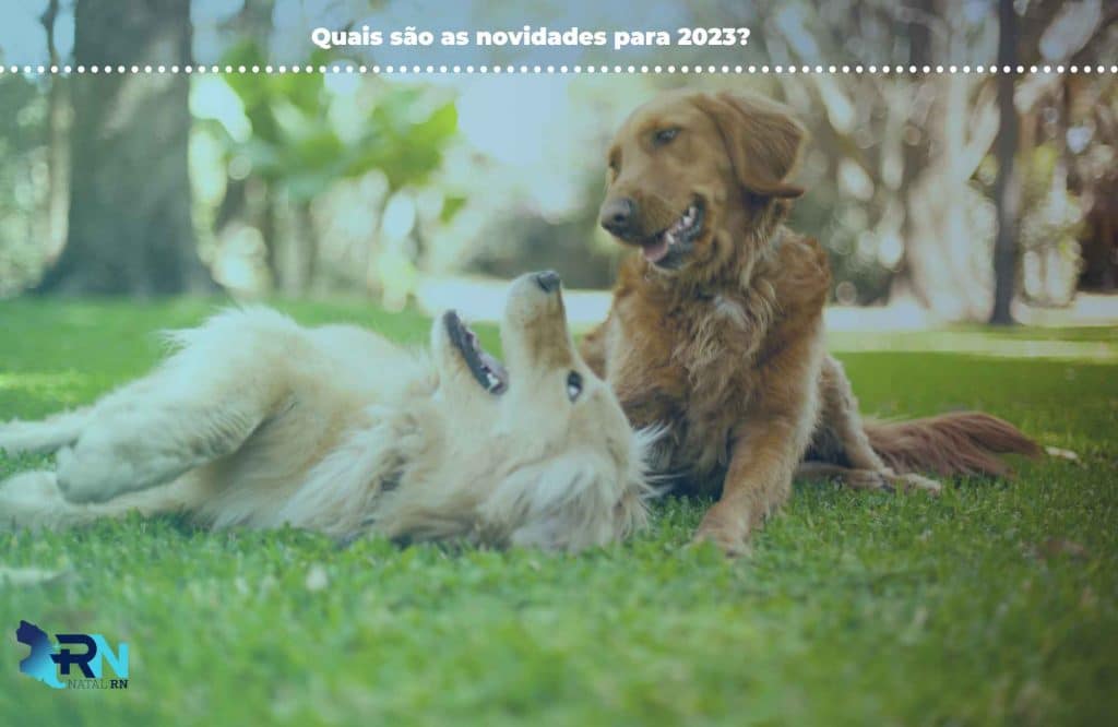 Natal Terá 15 Praças Revitalizadas em 2023! 3 Quais são as novidades para 2023?