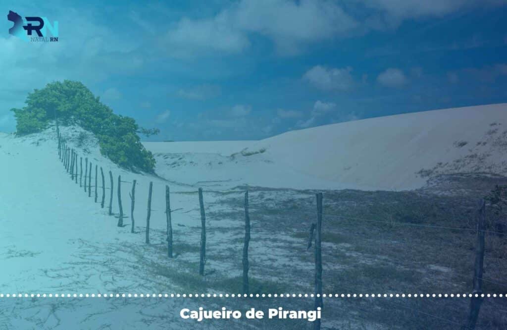 Passeios em Natal RN: quais os melhores destinos em 2024? 3 Cajueiro de Pirangi